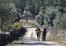 Santuário de Fátima lança novo Guia do Peregrino