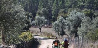 Santuário de Fátima lança novo Guia do Peregrino