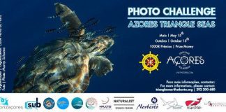 De 15 de Maio a 15 de Outubro: CNH promove 3ª Edição do Concurso “Azores Triangle Seas Photo Challenge”