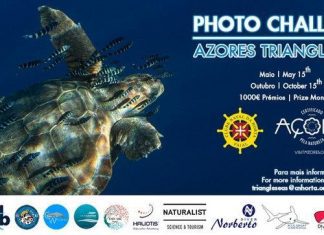 De 15 de Maio a 15 de Outubro: CNH promove 3ª Edição do Concurso “Azores Triangle Seas Photo Challenge”