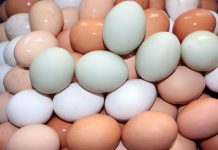IRAE fiscaliza cumprimento legal na comercialização dos ovos nos Açores