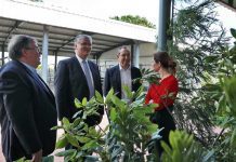 Dia Nacional da Agricultura permite evidenciar “uma das marcas da identidade açoriana”