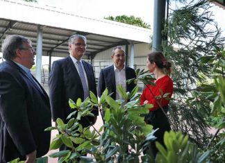 Dia Nacional da Agricultura permite evidenciar “uma das marcas da identidade açoriana”