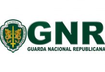 Campanha “Cinto-me vivo” DR