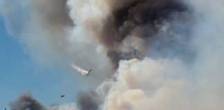 Incêndios: PSD acusa Governo de irresponsabilidade por meios aéreos não estarem todos operacionais