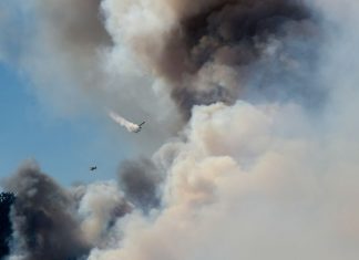 Incêndios: PSD acusa Governo de irresponsabilidade por meios aéreos não estarem todos operacionais