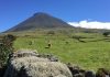 Governo dos Açores investe 330 mil euros na beneficiação de caminho agrícola no Pico