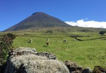 Governo dos Açores investe 330 mil euros na beneficiação de caminho agrícola no Pico