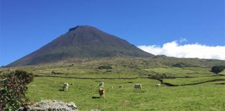 Governo dos Açores investe 330 mil euros na beneficiação de caminho agrícola no Pico