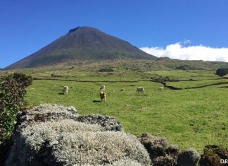 Governo dos Açores investe 330 mil euros na beneficiação de caminho agrícola no Pico