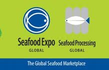 Pescado açoriano promovido na Seafood Expo Global 2019, em Bruxelas