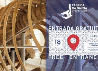 18 de maio – Dia Internacional dos Museus – Entrada Gratuita na Fábrica da Baleia