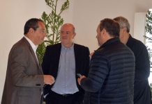 Bons resultados da gestão florestal nos Açores despertam interesse internacional