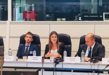 Diretora Regional destaca liderança das ilhas na transição energética da União Europeia