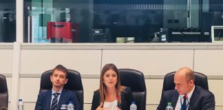 Diretora Regional destaca liderança das ilhas na transição energética da União Europeia