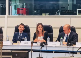 Diretora Regional destaca liderança das ilhas na transição energética da União Europeia