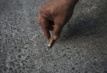 Lei do PAN sobre beatas de cigarros é aprovada, mas partidos avisam que diploma não está fechado