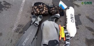 Ilha do Faial – Apreensão de lapas em zona de reserva natural