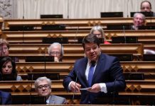 Propostas de relatório do leite, do PS, aprovada por unanimidade
