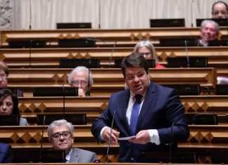 Propostas de relatório do leite, do PS, aprovada por unanimidade