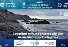 Mares Circulares organizam jornadas educativas sobre lixo marinho nos Açores