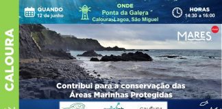 Mares Circulares organizam jornadas educativas sobre lixo marinho nos Açores