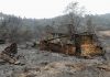 Ferro Rodrigues homenageia vítimas de fogos florestais em Portugal