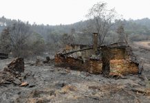 Ferro Rodrigues homenageia vítimas de fogos florestais em Portugal