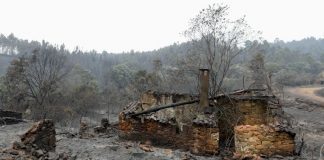 Ferro Rodrigues homenageia vítimas de fogos florestais em Portugal