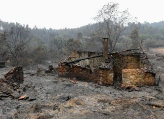 Ferro Rodrigues homenageia vítimas de fogos florestais em Portugal