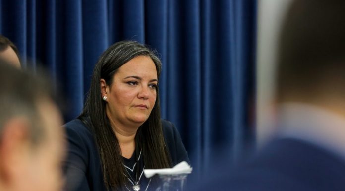 Sabrina Furtado considera essencial esforços comuns entre poder legislativo e ANAFRE