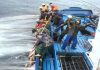 Pesca do Atum – FPA e APASA preocupadas com o aumento dos preços da Lotaçor