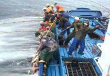 Pesca do Atum – FPA e APASA preocupadas com o aumento dos preços da Lotaçor