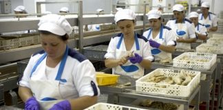 SABCES/Açores – Sindicado preocupado com a situações dos 162 ex-trabalhadores da COFACO