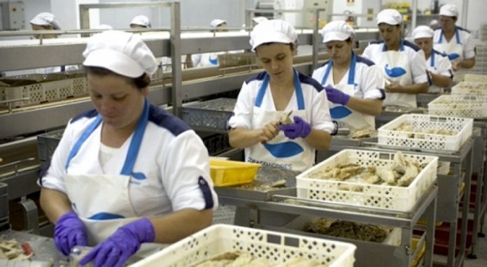 cofaco-trabalhadores