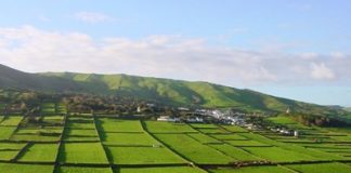 Boa gestão e aplicação dos fundos comunitários tem sido determinante para o desenvolvimento da agricultura nos Açores