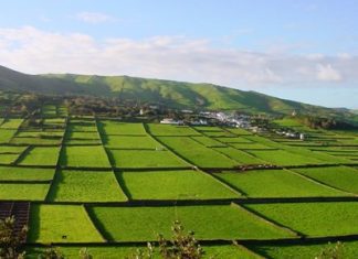 Boa gestão e aplicação dos fundos comunitários tem sido determinante para o desenvolvimento da agricultura nos Açores