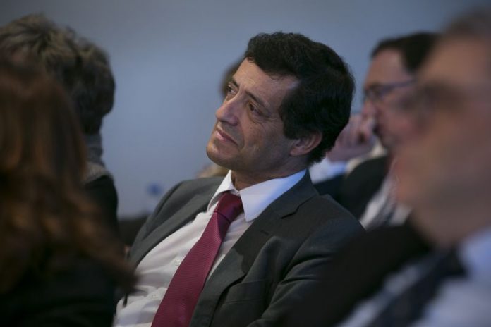 zorrinho