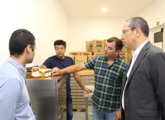 Governo dos Açores propõe criação de ajuda para a apicultura no âmbito do POSEI