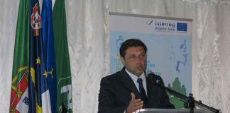 Aposta na inovação é essencial para aumentar a eficiência e competitividade das explorações leiteiras, afirma o Diretor Regional da Agricultura