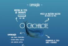 Museu do Pico apresenta mostra expositiva de um feto de cachalote