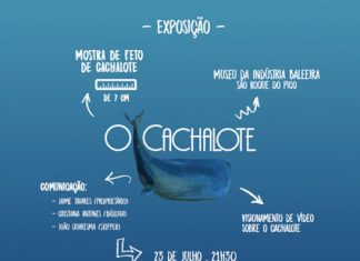 Museu do Pico apresenta mostra expositiva de um feto de cachalote