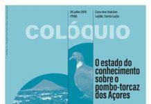 Direção Regional do Ambiente promove colóquio “O estado do conhecimento sobre o Pombo-torcaz dos Açores”