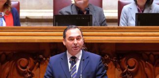Mercosul – António Ventura questiona impacto para a produção de carne nos Açores