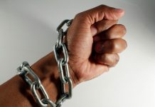 Página Mensal da Delegação Regional da Ordem dos Psicólogos Portugueses