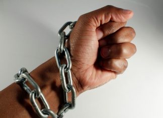 Página Mensal da Delegação Regional da Ordem dos Psicólogos Portugueses
