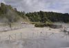 Açores vão ter primeiro parque de arvorismo nas Furnas