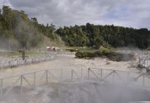 Açores vão ter primeiro parque de arvorismo nas Furnas
