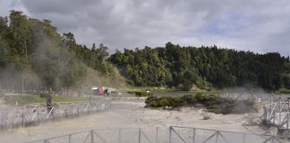 Açores vão ter primeiro parque de arvorismo nas Furnas