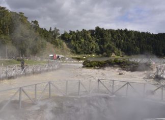 Açores vão ter primeiro parque de arvorismo nas Furnas